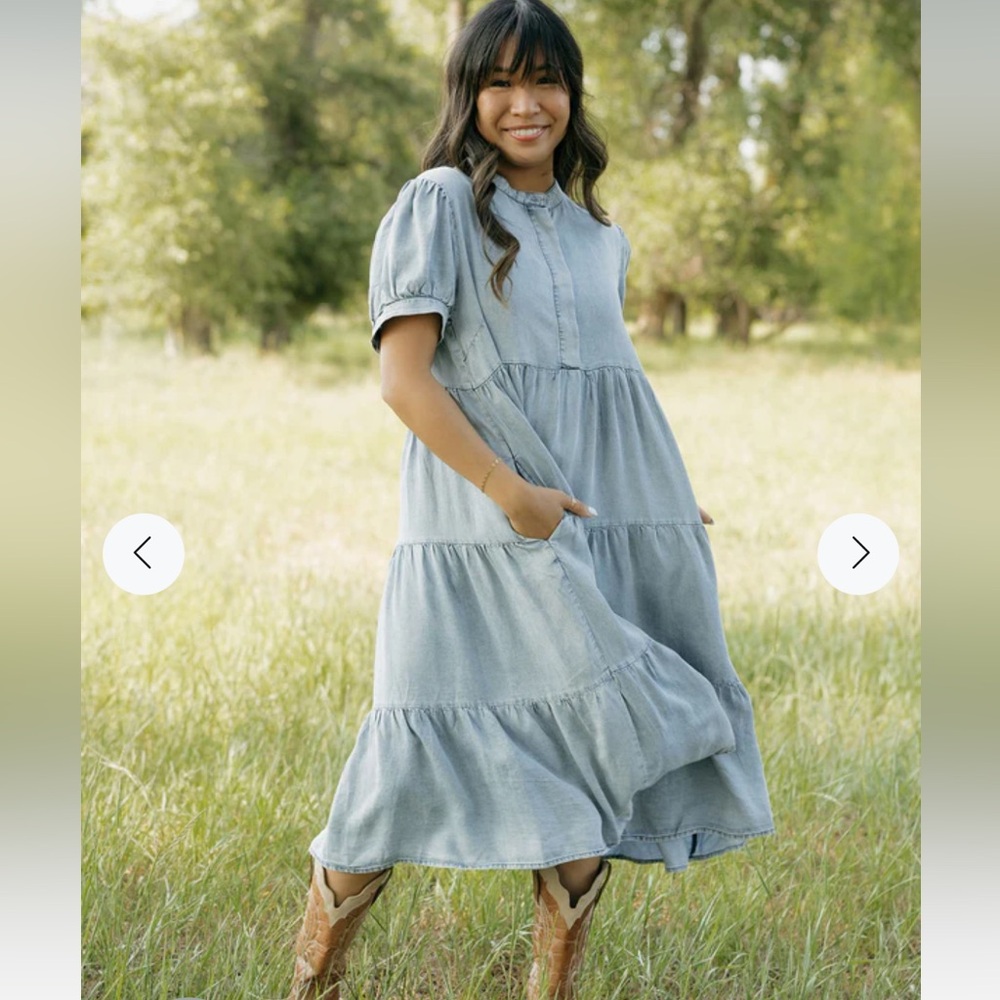 NWOT Love Olive Co Knee Length Chambray Button Down Dress
